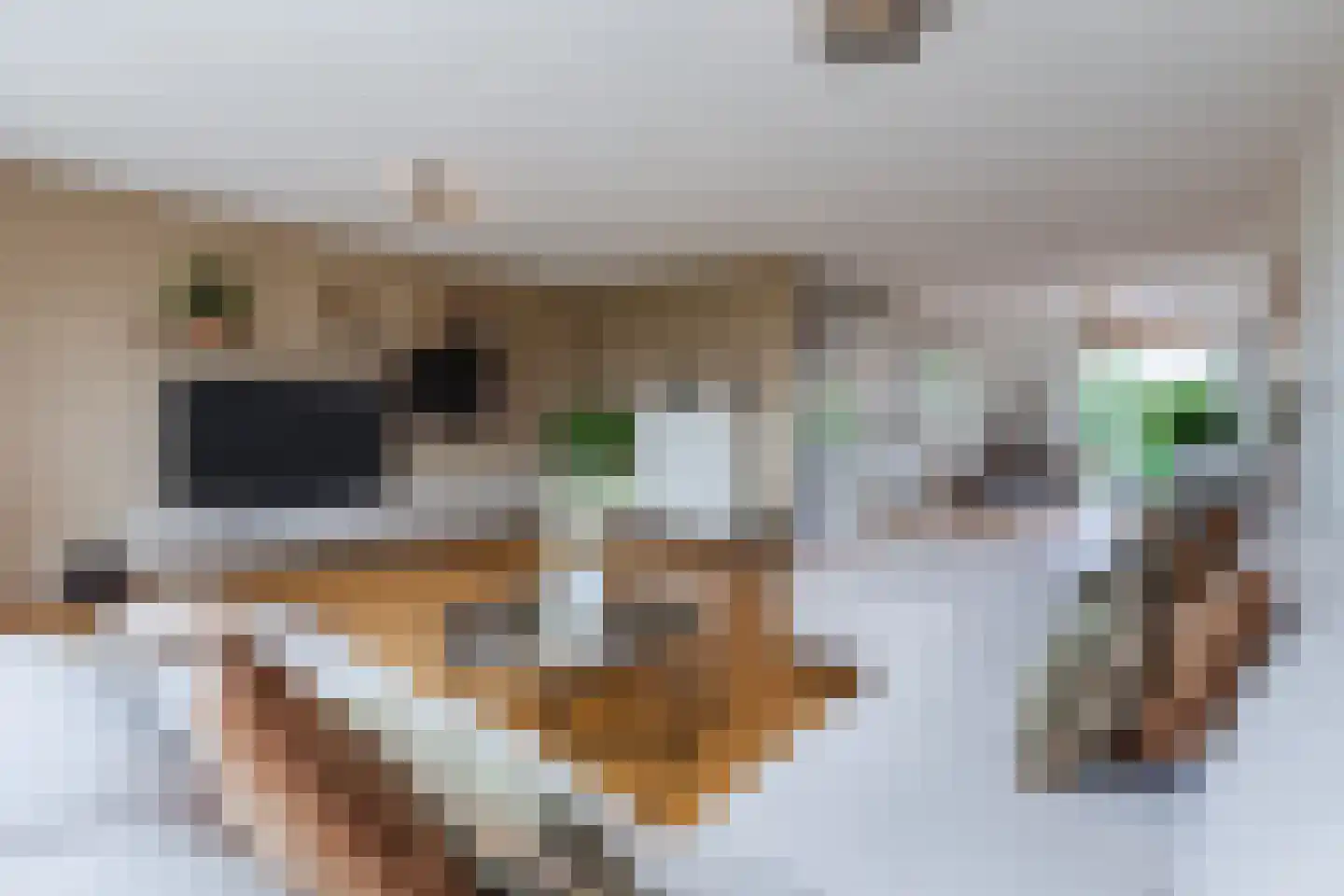Veenland 3 Assendelft thumbnail 29