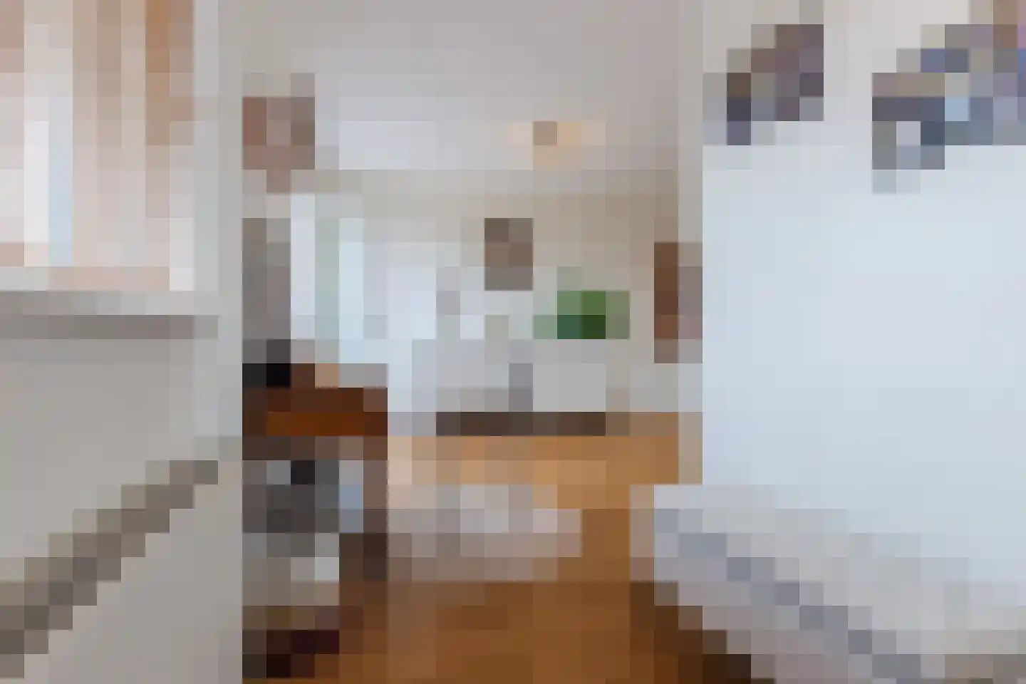 Veenland 3 Assendelft thumbnail 33