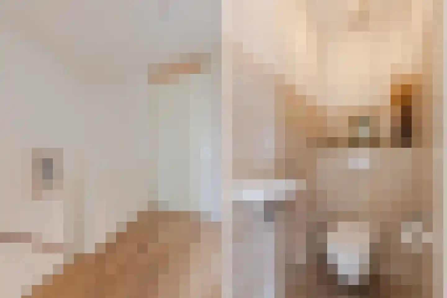 Veenland 3 Assendelft thumbnail 37