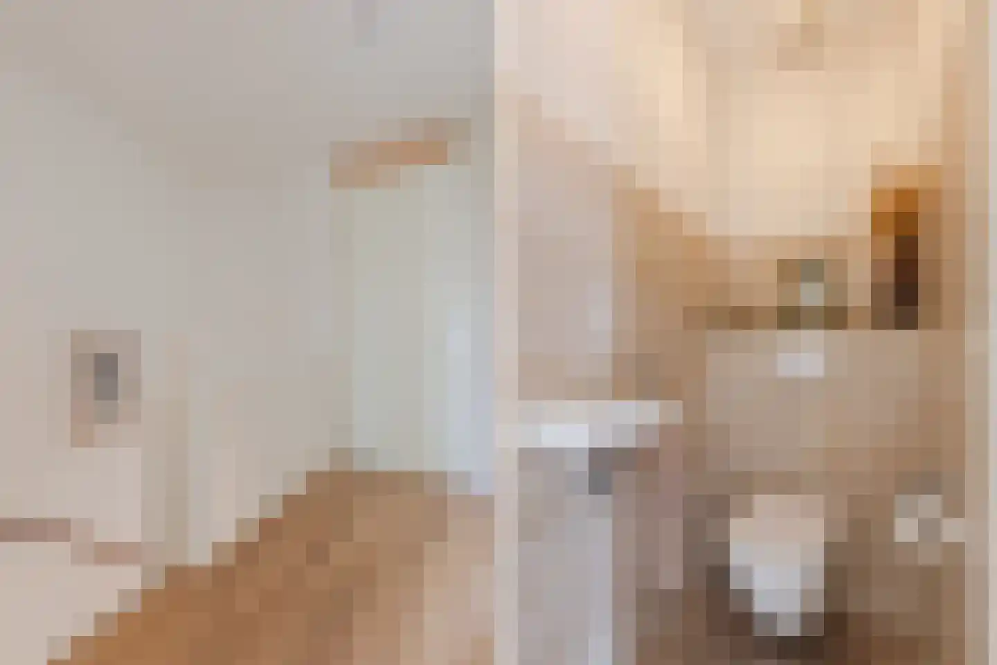 Veenland 3 Assendelft thumbnail 37