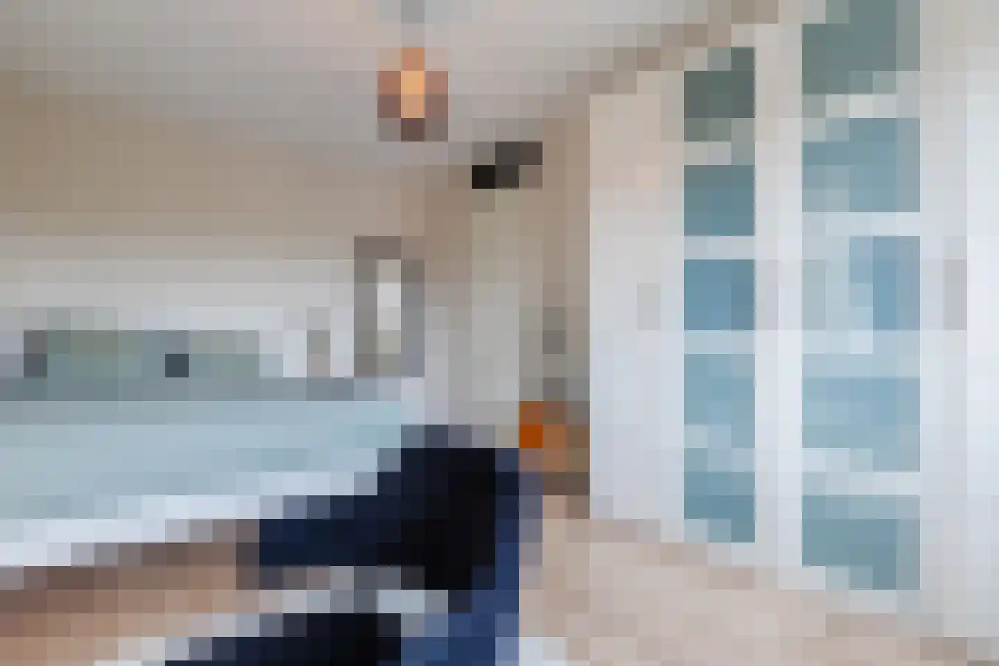 Veenland 3 Assendelft thumbnail 41