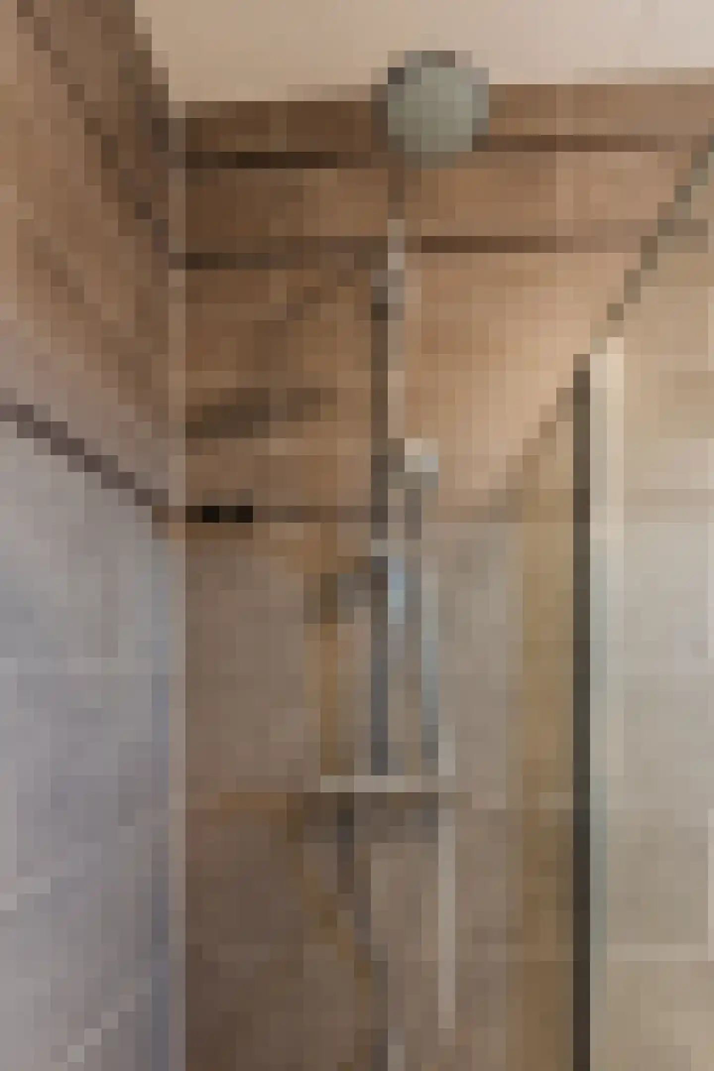 Veenland 3 Assendelft thumbnail 46
