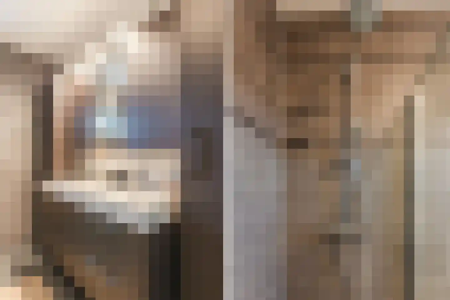 Veenland 3 Assendelft thumbnail 47