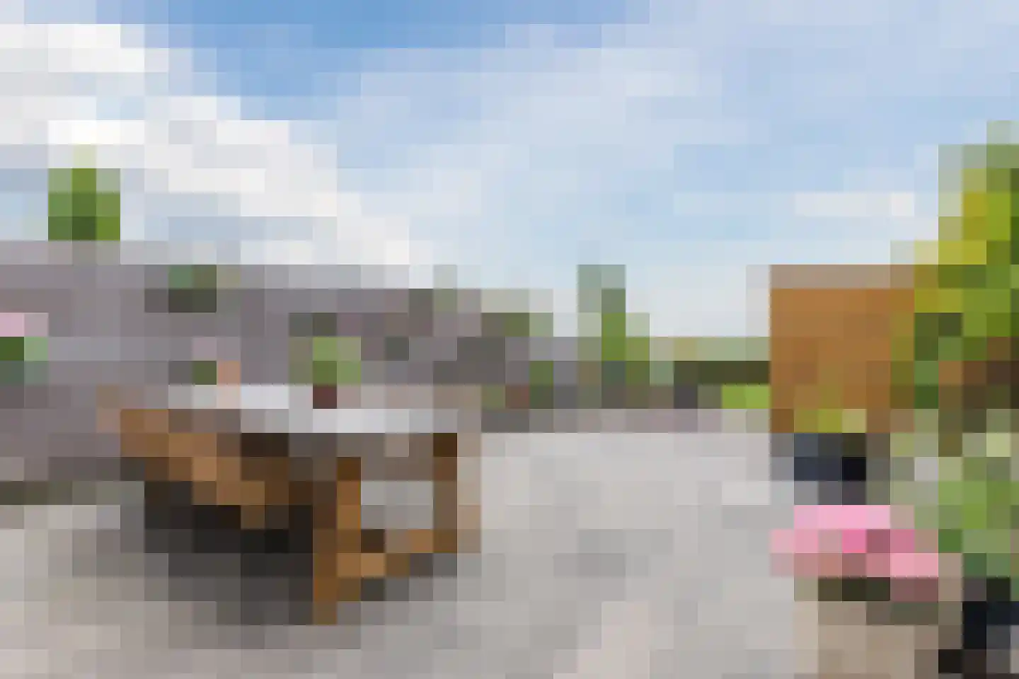 Veenland 3 Assendelft thumbnail 52
