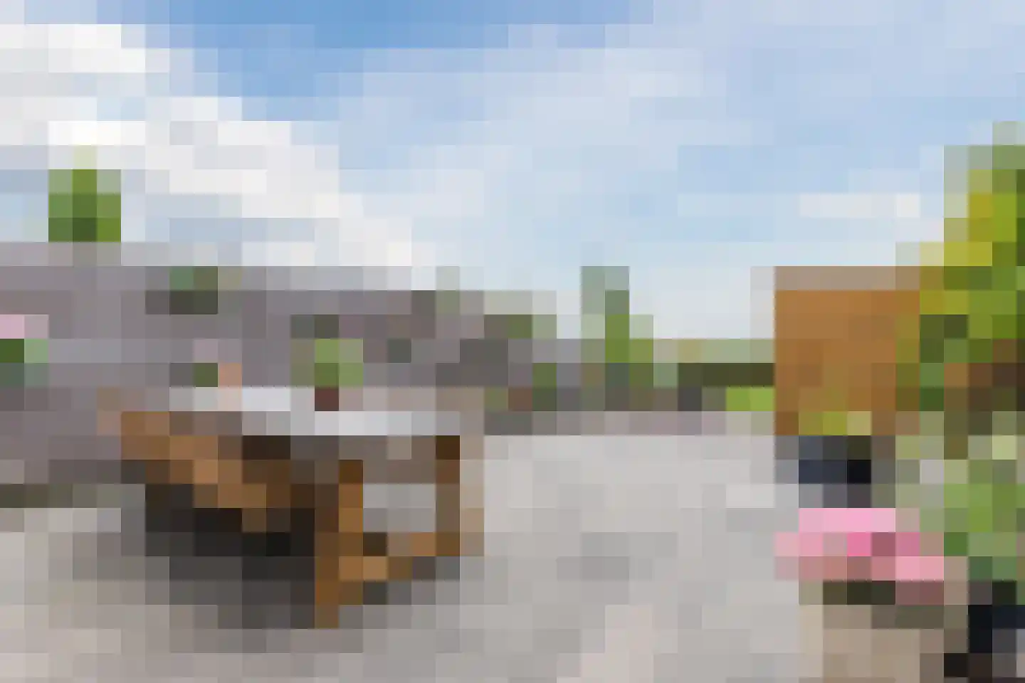 Veenland 3 Assendelft thumbnail 52