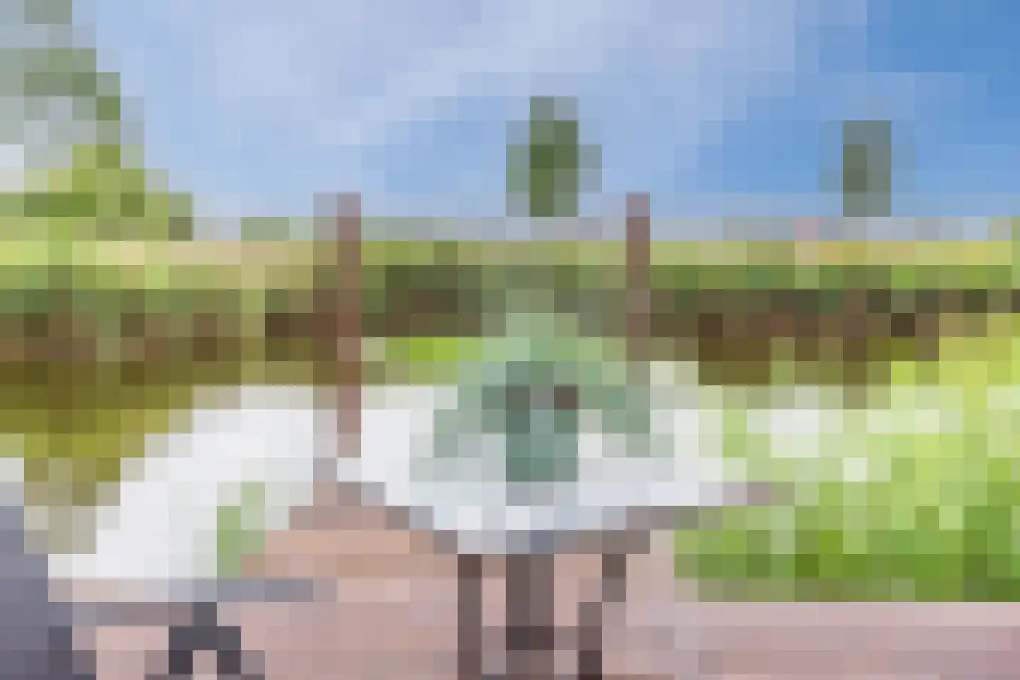 Veenland 3 Assendelft thumbnail 58