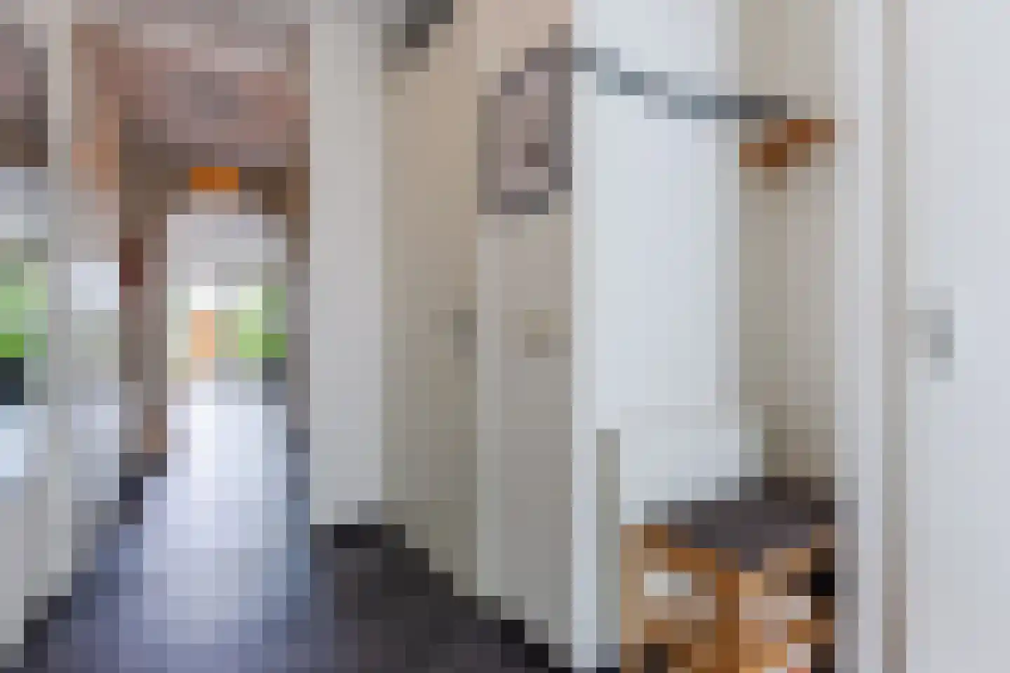 Veenland 3 Assendelft thumbnail 6
