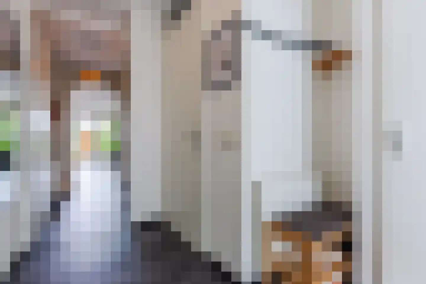 Veenland 3 Assendelft thumbnail 6