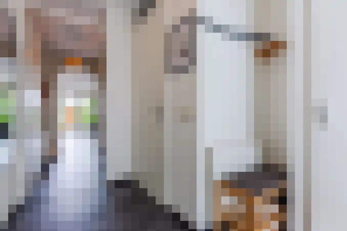 Veenland 3 Assendelft thumbnail 6
