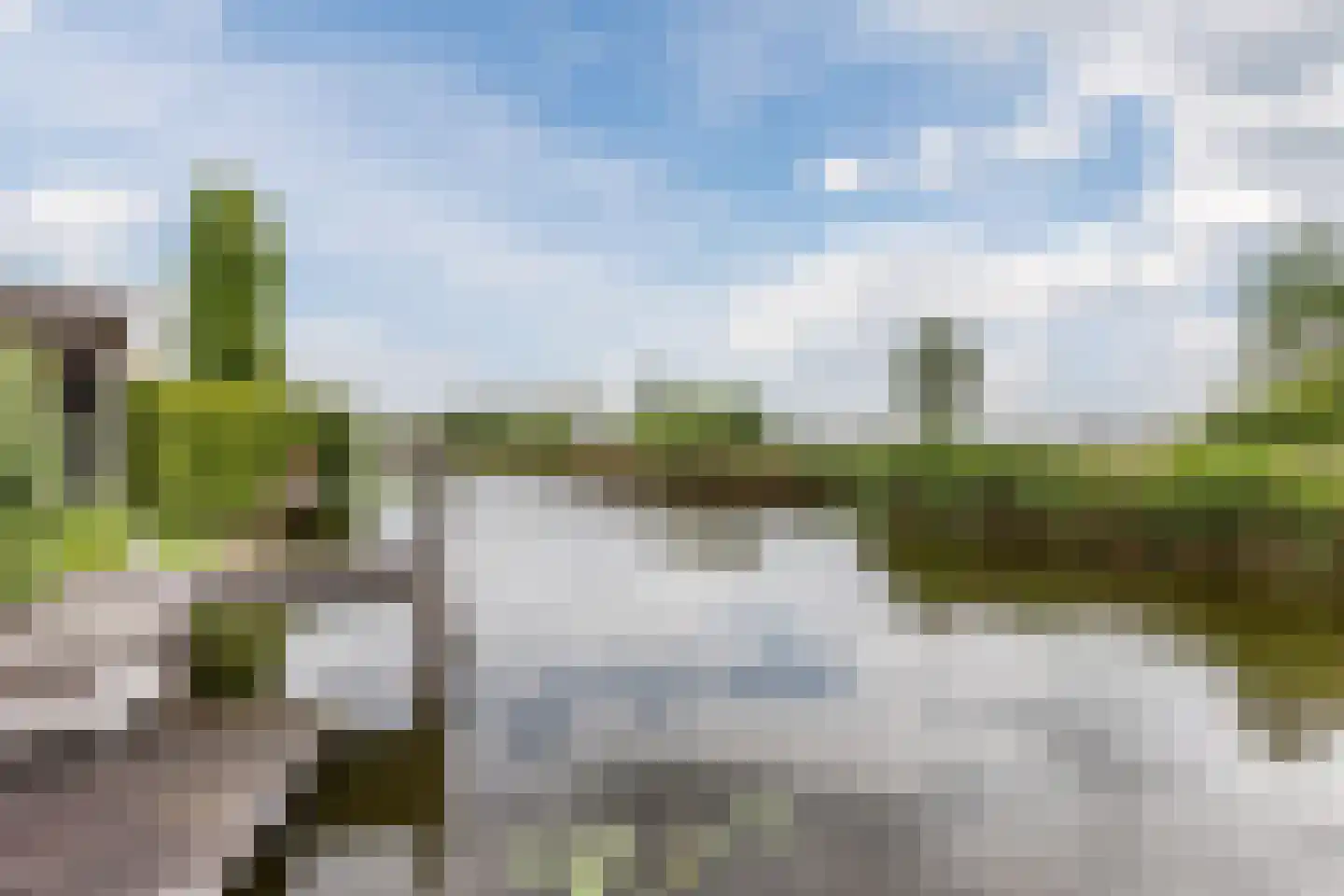 Veenland 3 Assendelft thumbnail 61
