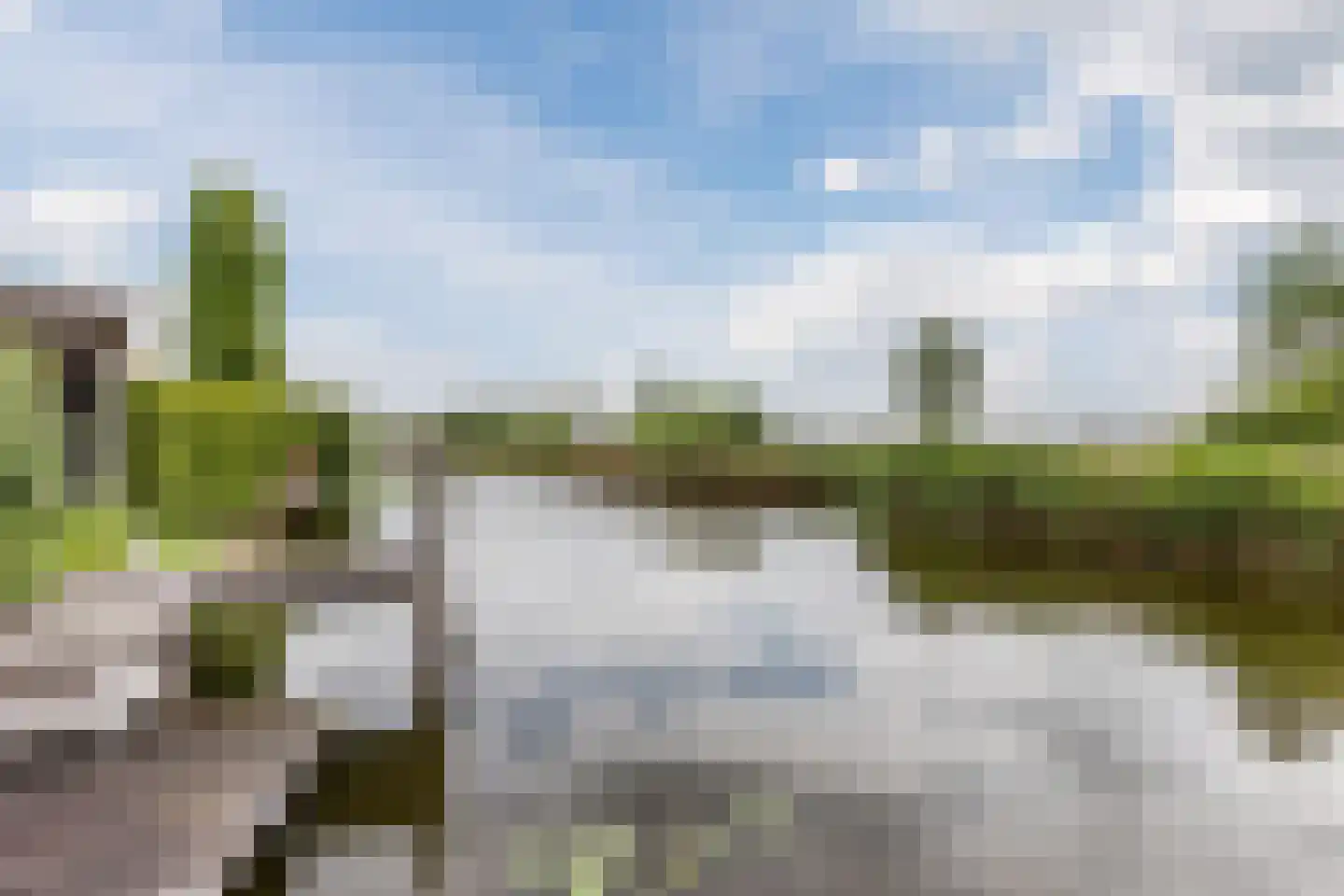 Veenland 3 Assendelft thumbnail 61