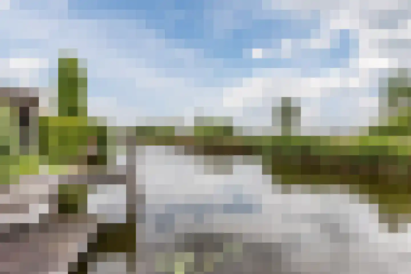 Veenland 3 Assendelft thumbnail 61