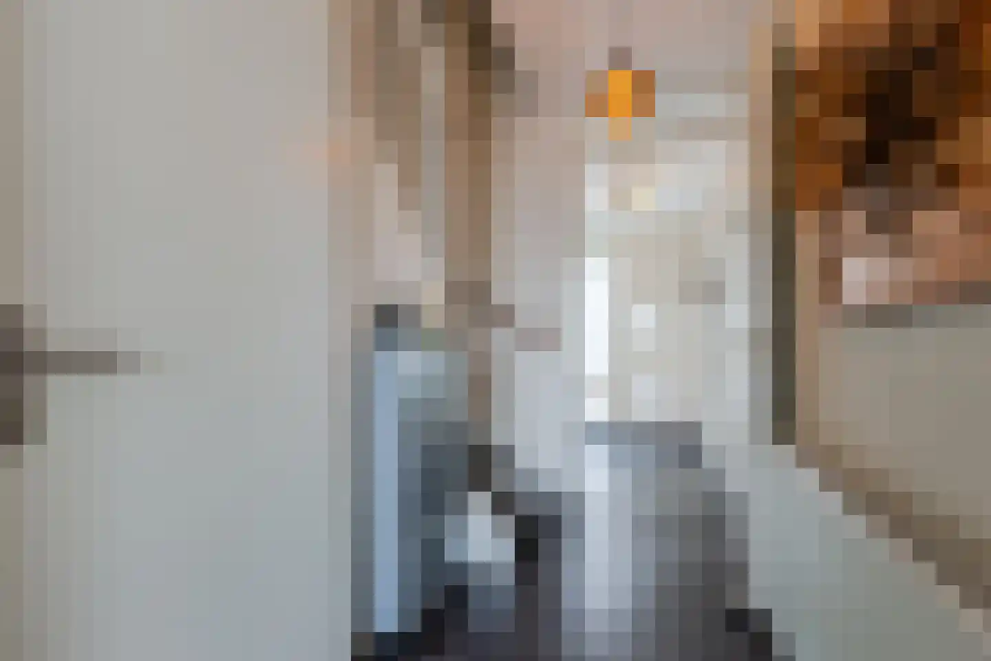 Veenland 3 Assendelft thumbnail 8