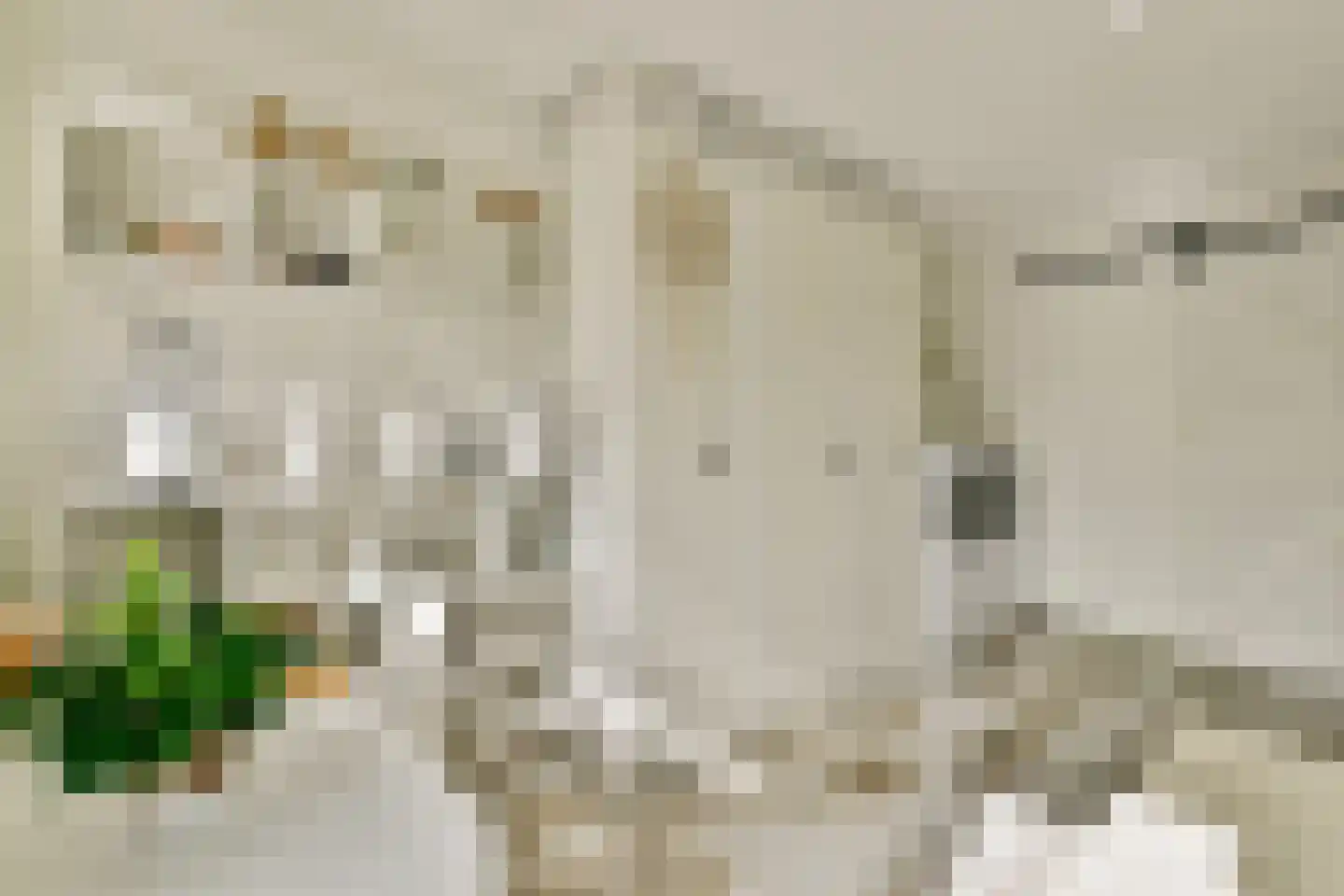 Veenland 9 Assendelft thumbnail 11