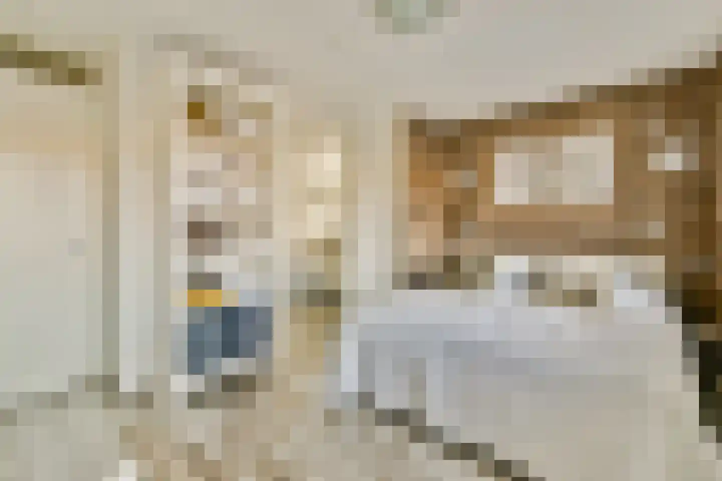 Veenland 9 Assendelft thumbnail 15