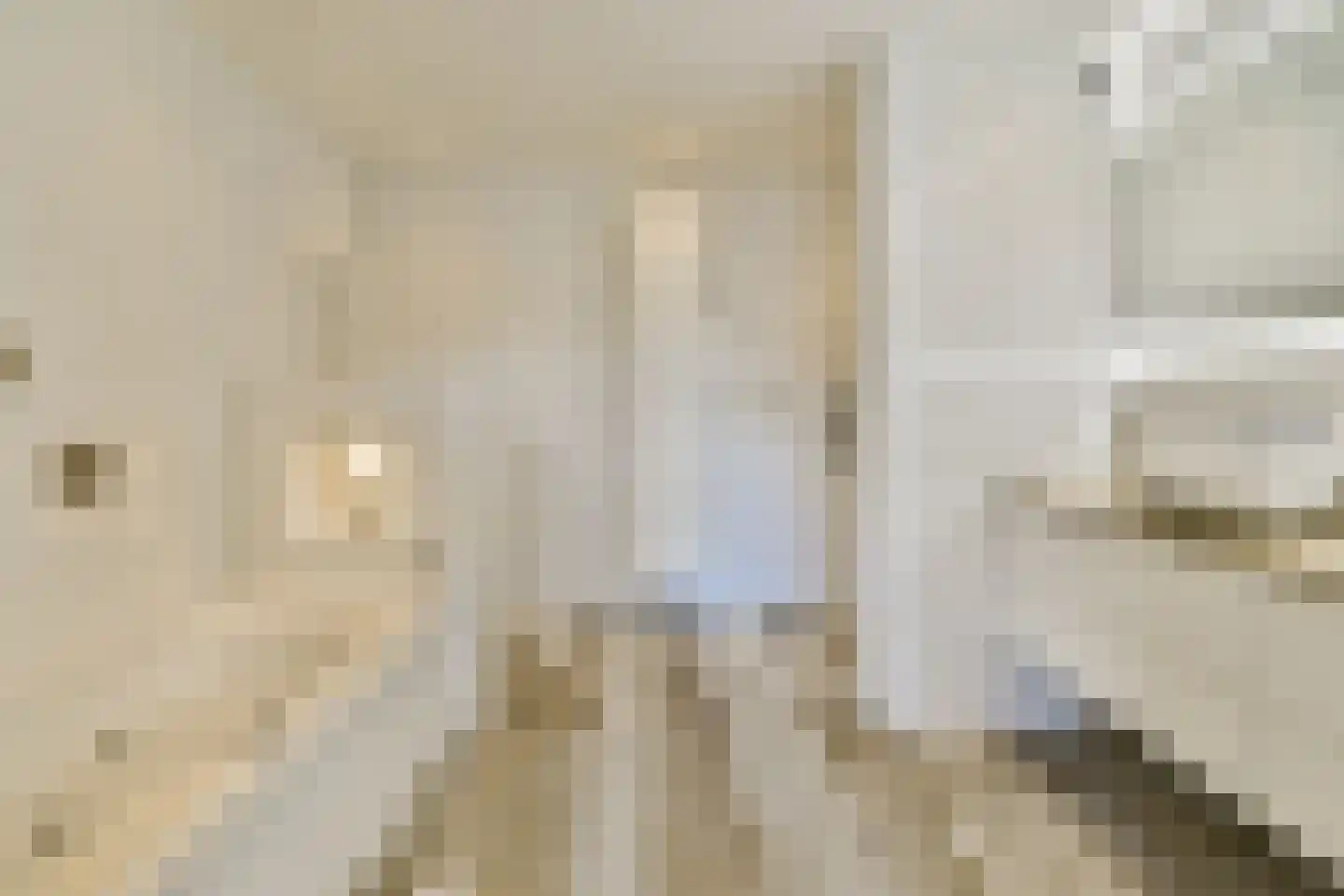 Veenland 9 Assendelft thumbnail 15