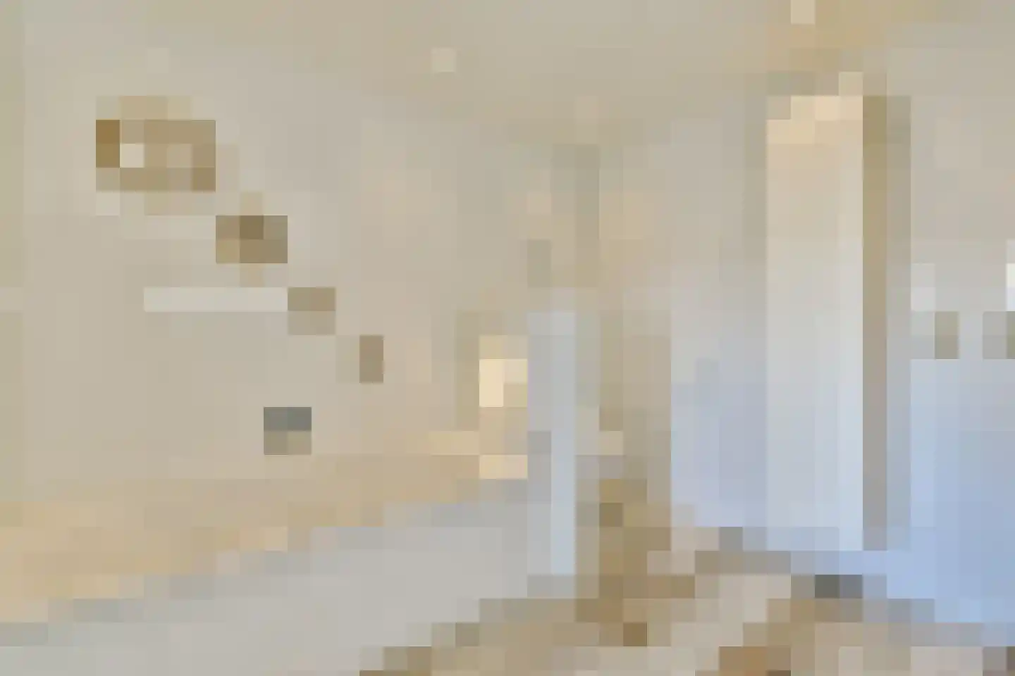 Veenland 9 Assendelft thumbnail 17