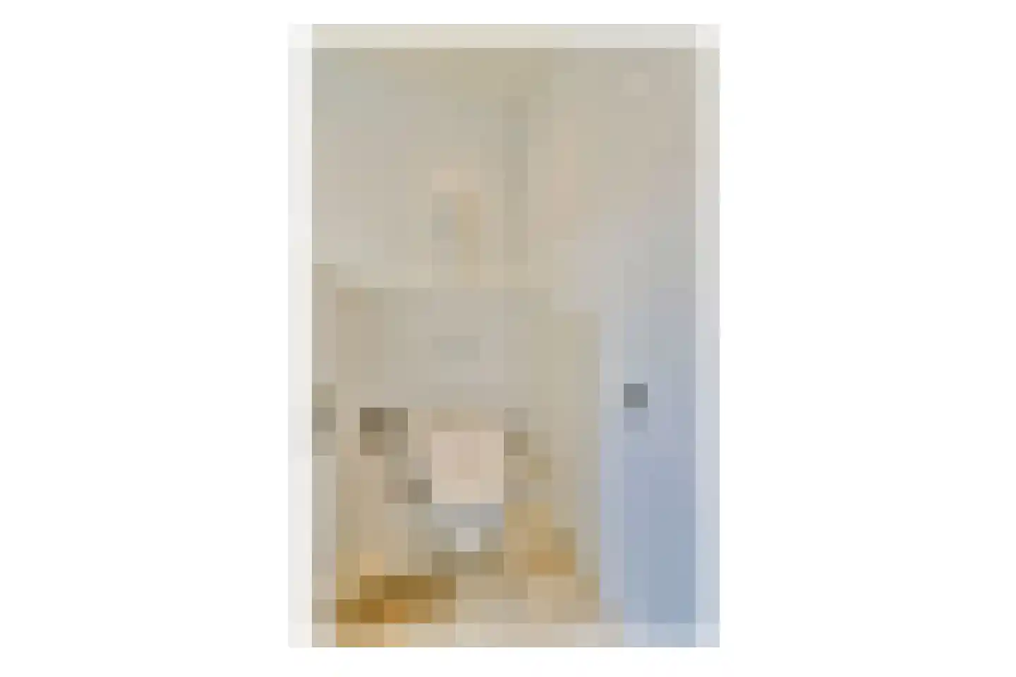 Veenland 9 Assendelft thumbnail 18