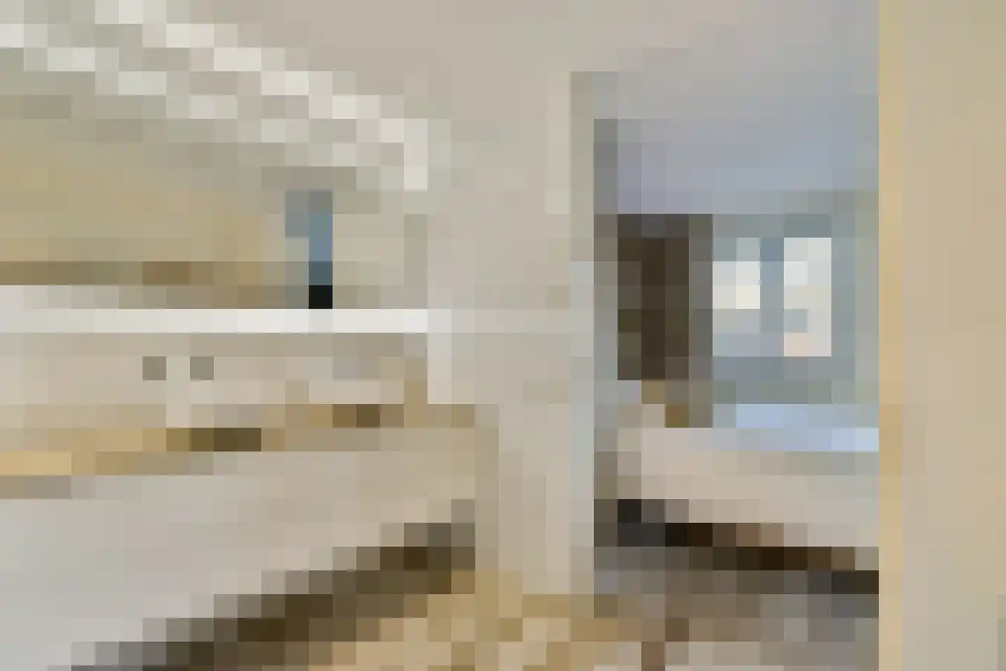 Veenland 9 Assendelft thumbnail 19