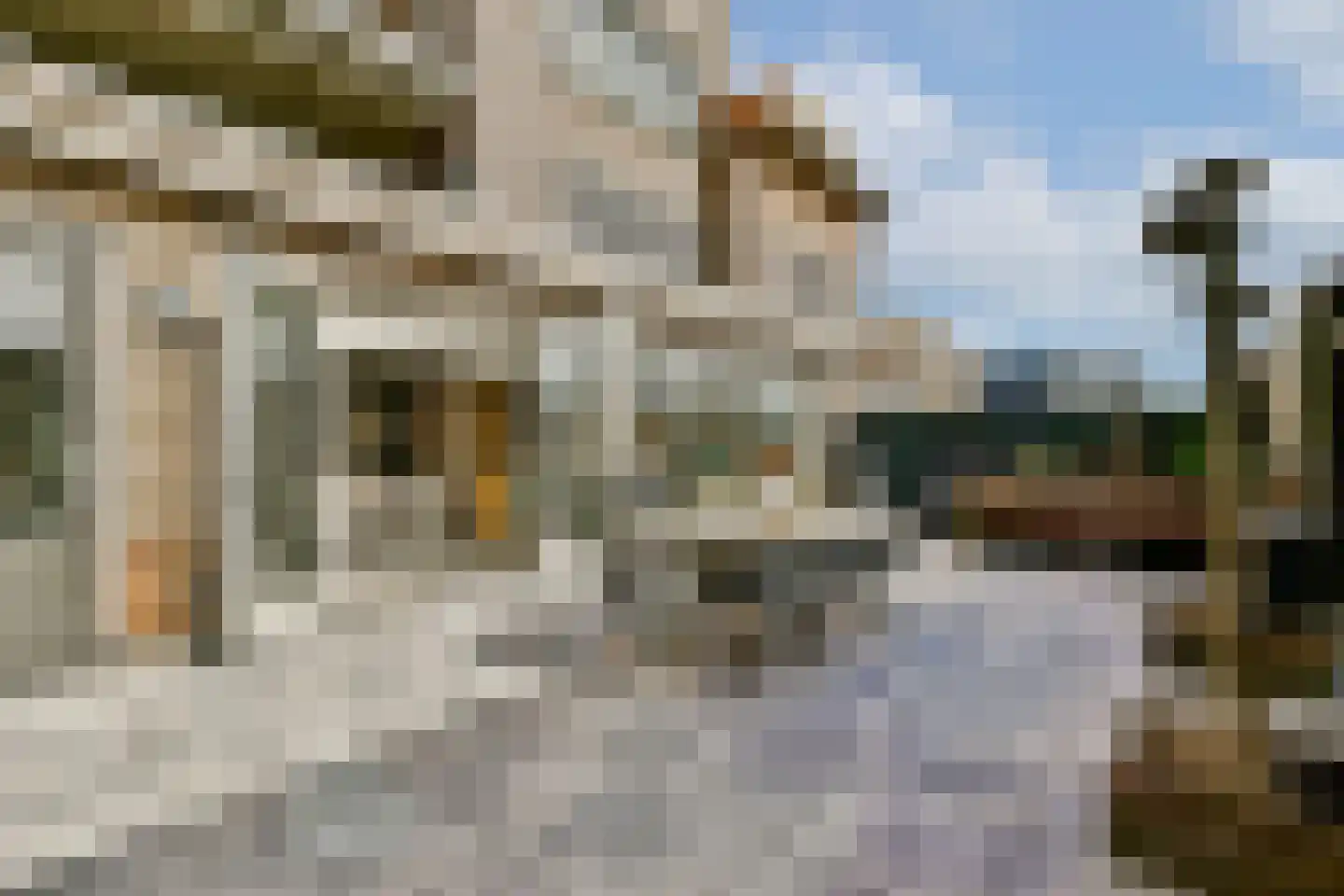 Veenland 9 Assendelft thumbnail 22