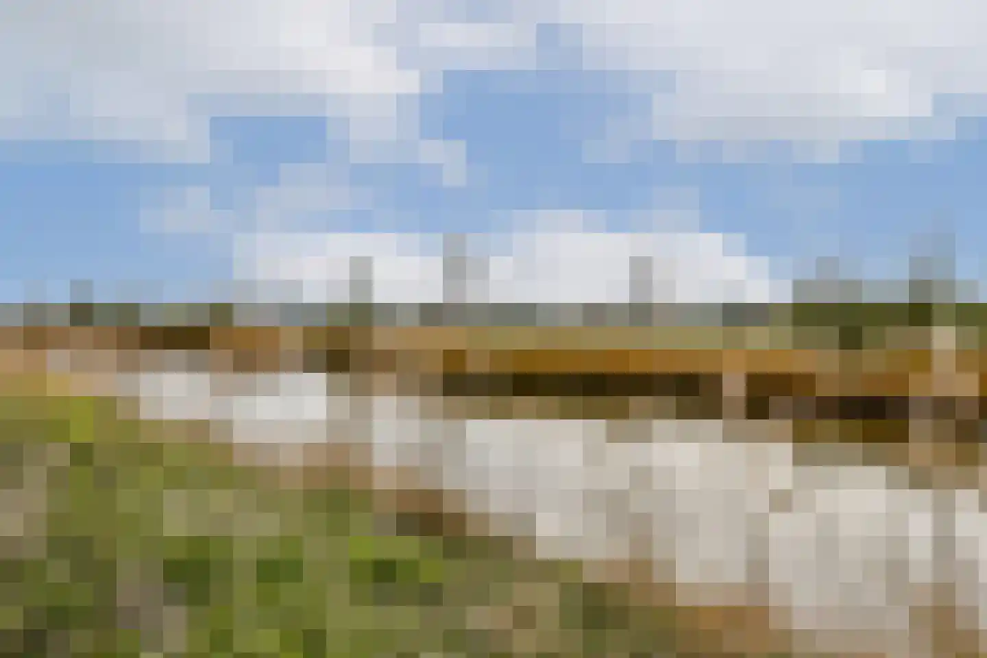 Veenland 9 Assendelft thumbnail 26