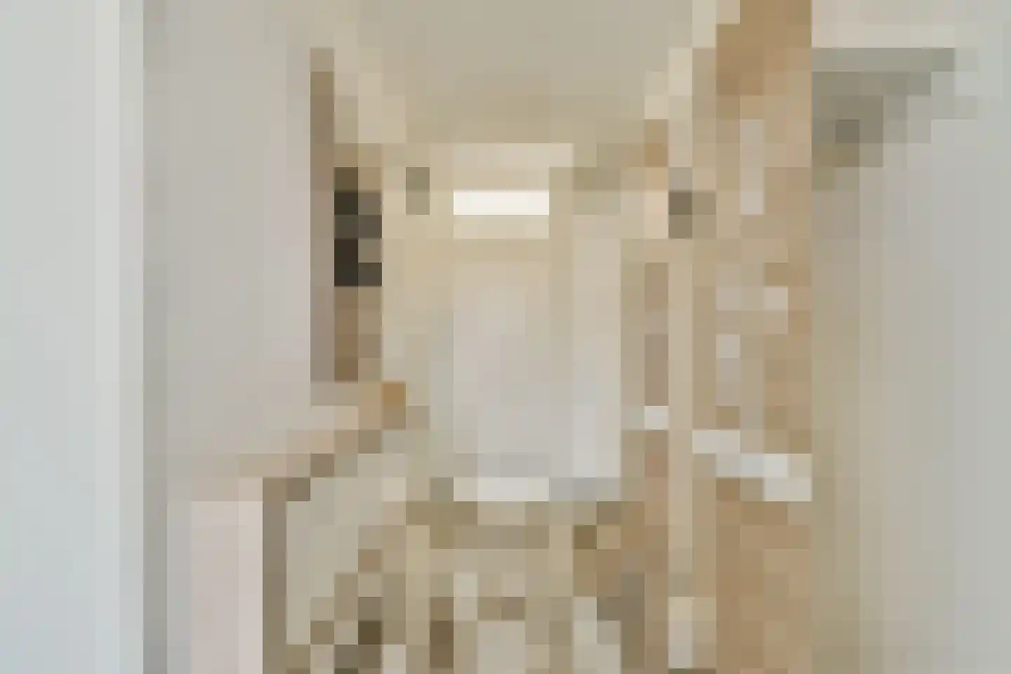 Veenland 9 Assendelft thumbnail 5