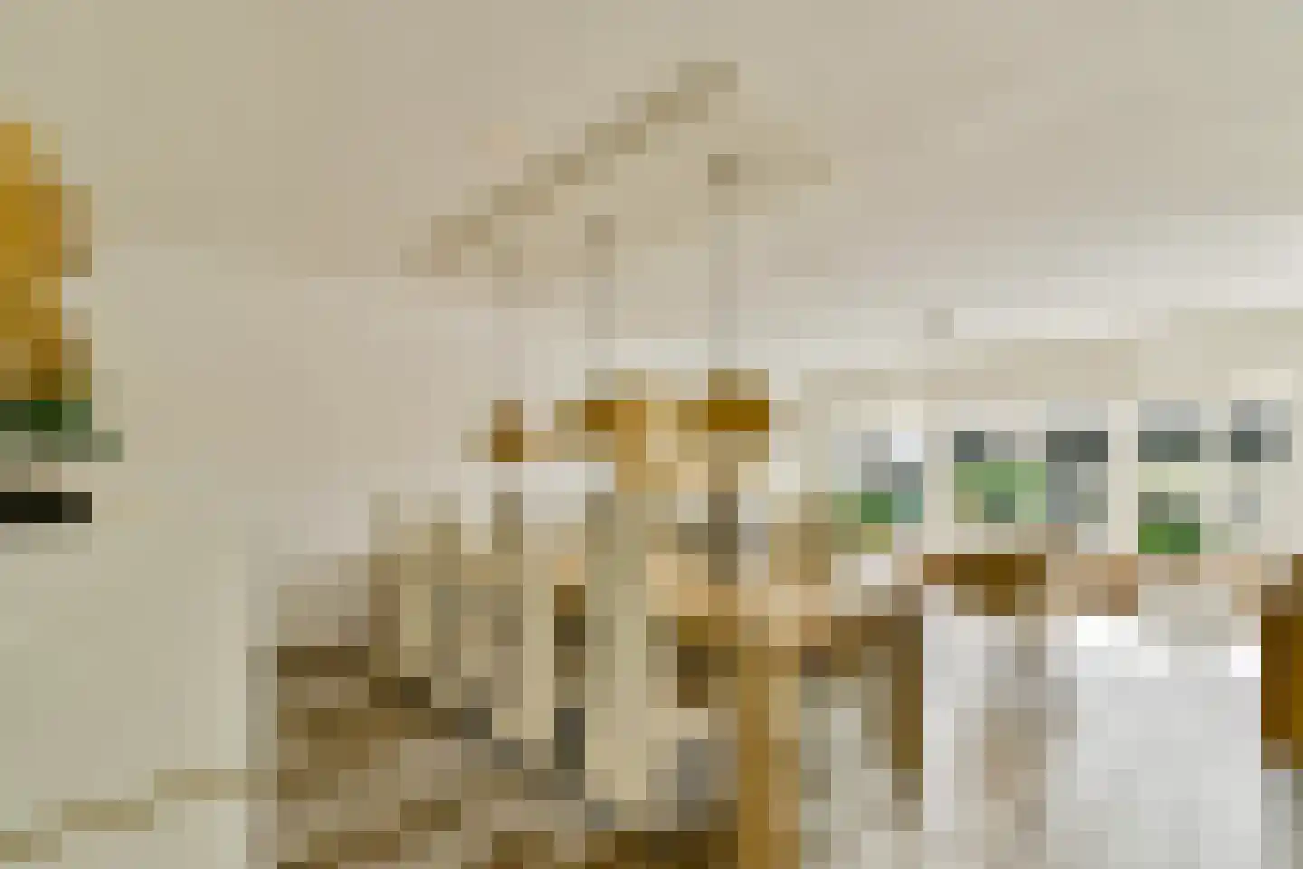 Veenland 9 Assendelft thumbnail 7