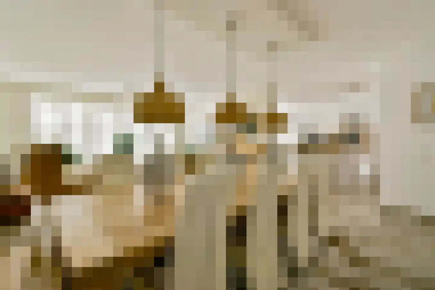 Veenland 9 Assendelft thumbnail 8