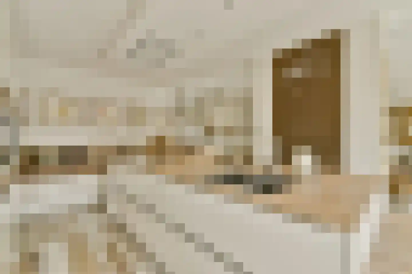 Veenland 9 Assendelft thumbnail 9