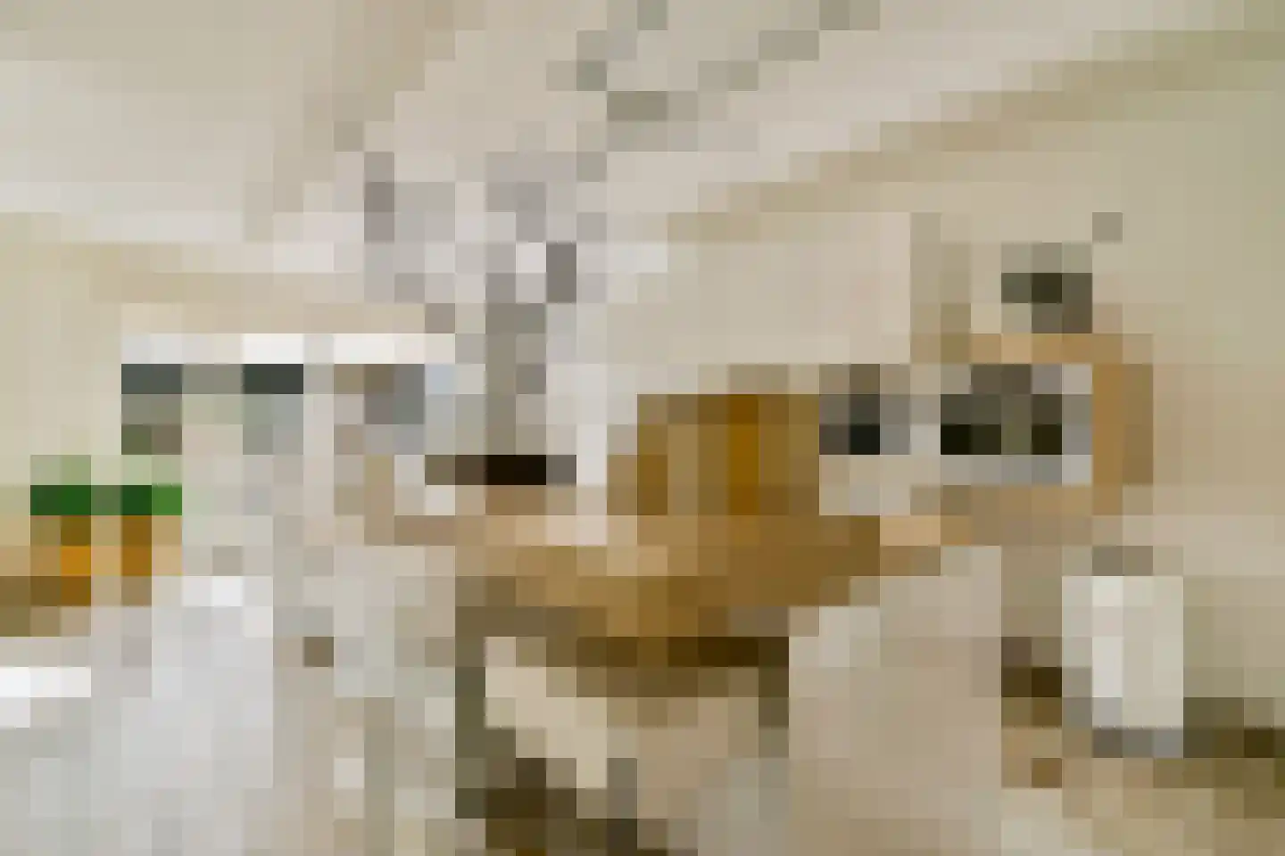 Veenland 9 Assendelft thumbnail 9