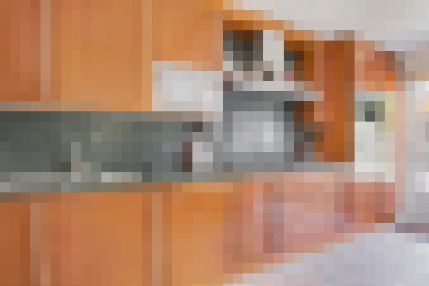 Veenlanden 103 Hoevelaken thumbnail 19