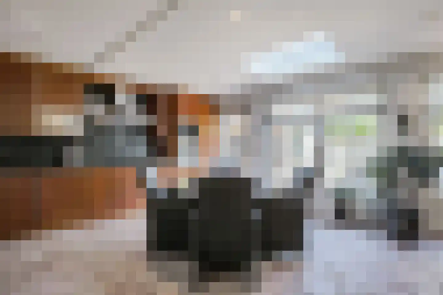 Veenlanden 103 Hoevelaken thumbnail 4