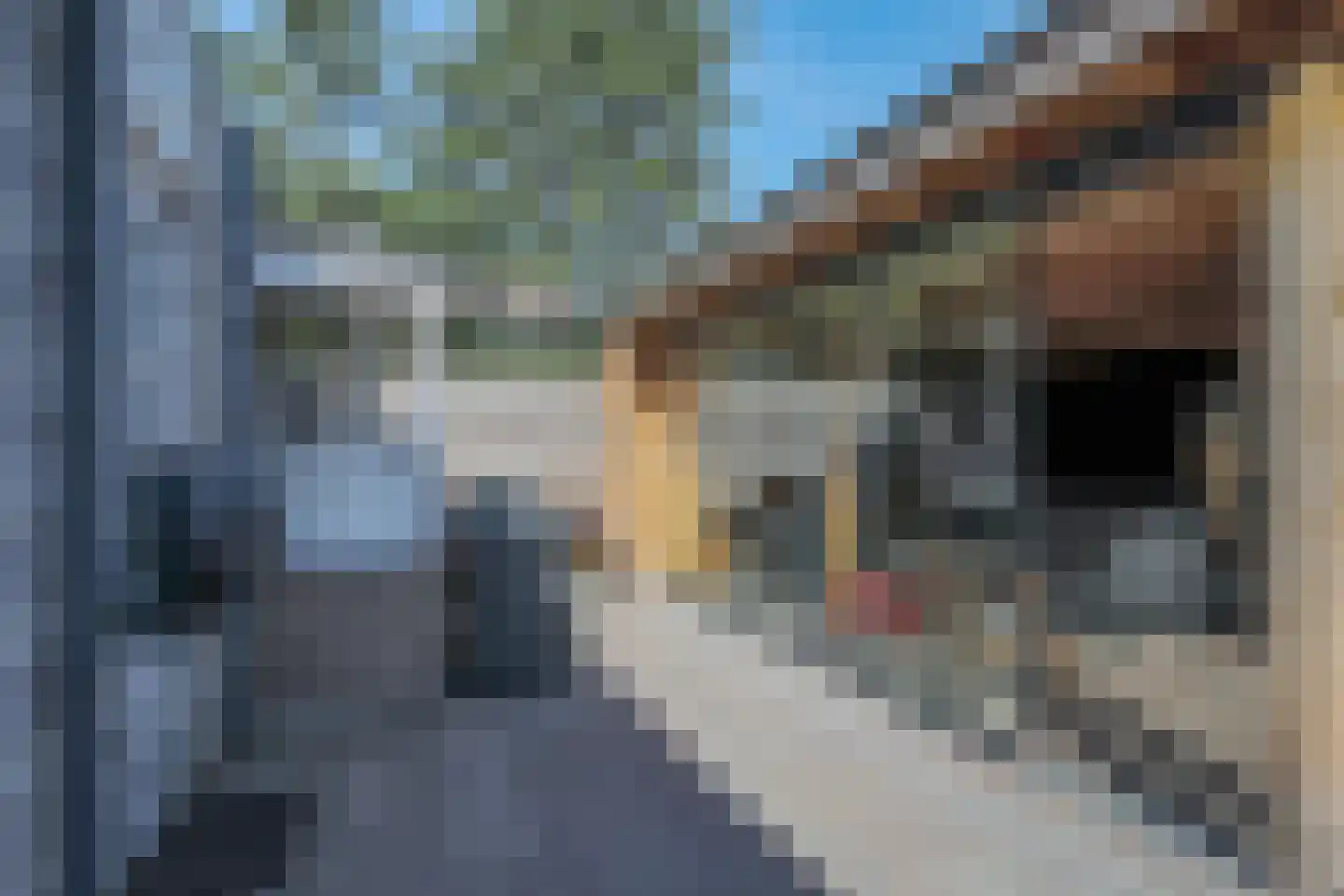 Veenlanden 103 Hoevelaken thumbnail 41