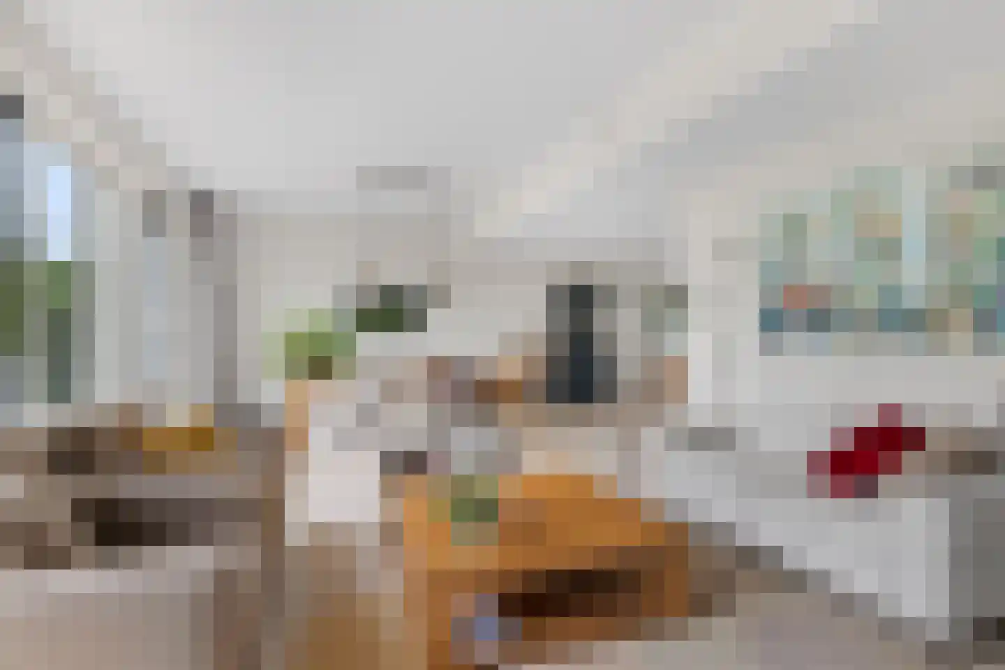 Veenlanden 145 Hoevelaken thumbnail 11