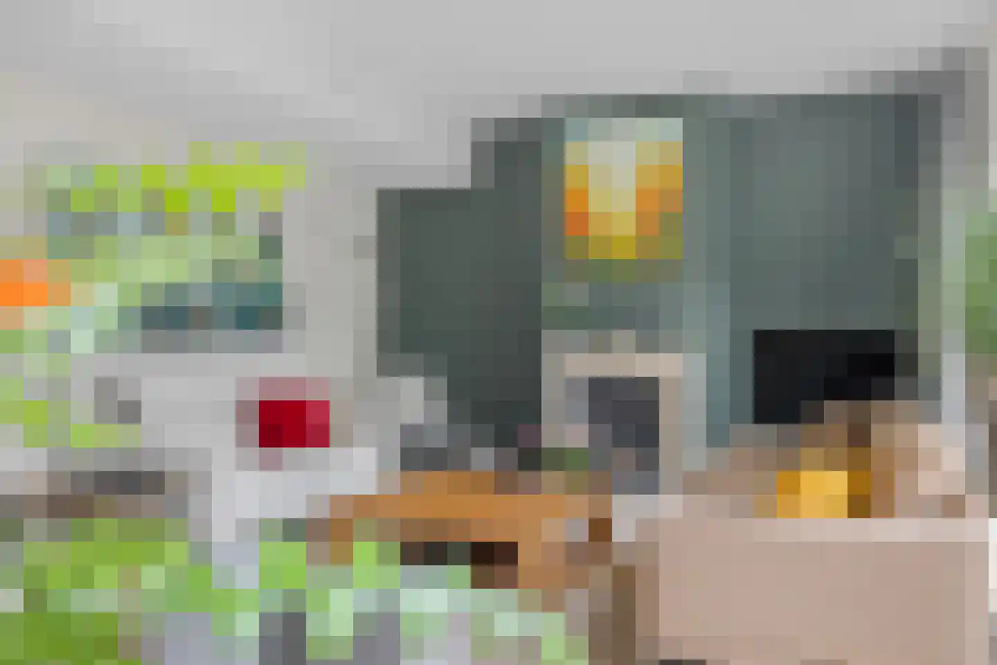 Veenlanden 145 Hoevelaken thumbnail 17