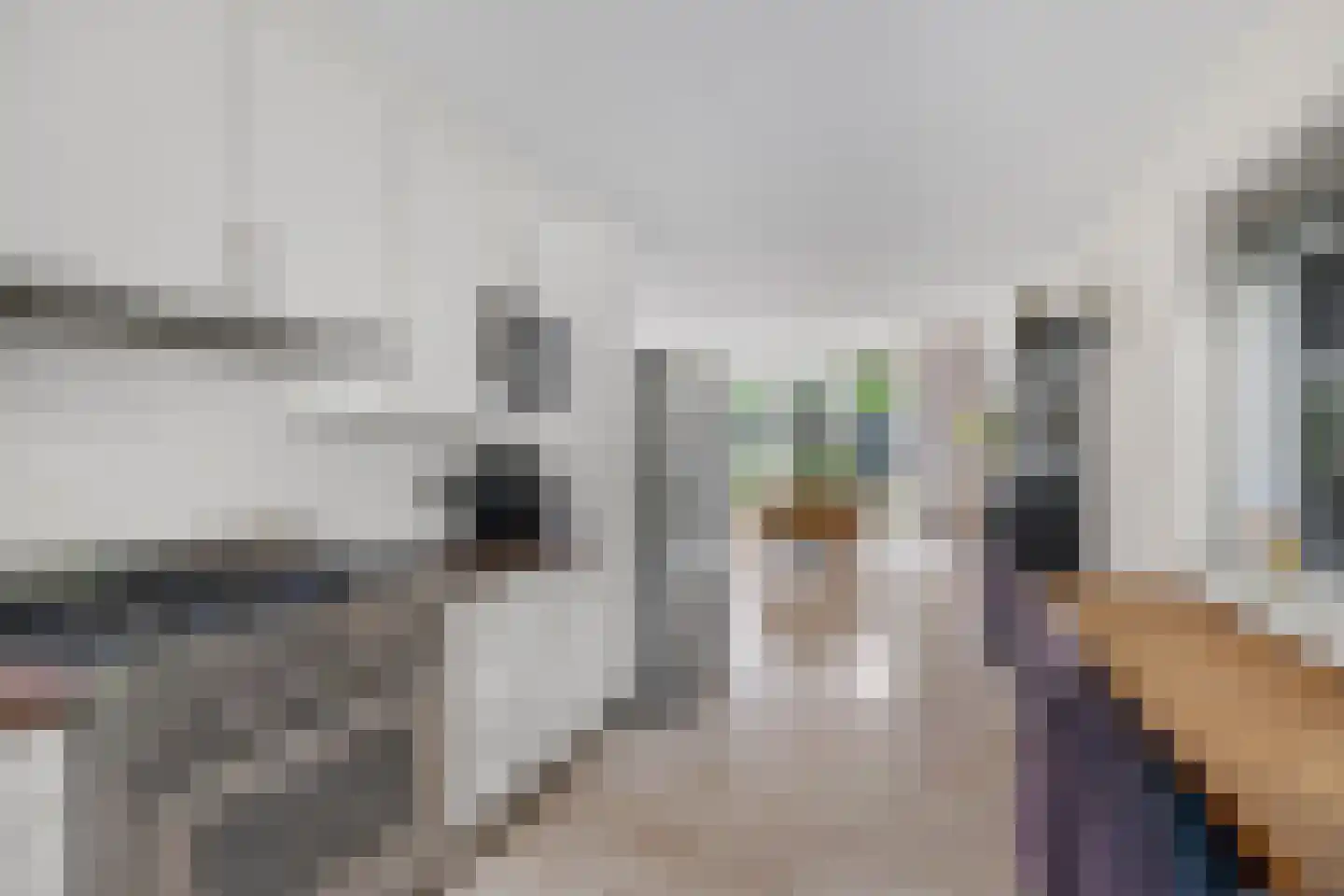 Veenlanden 145 Hoevelaken thumbnail 23
