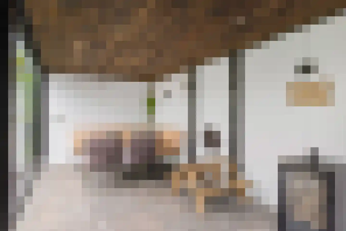 Veenlanden 145 Hoevelaken thumbnail 57