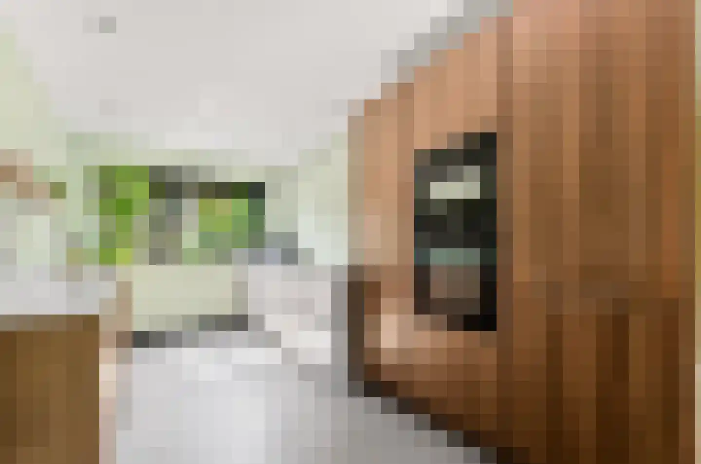 Veenlanden 151 Hoevelaken thumbnail 14