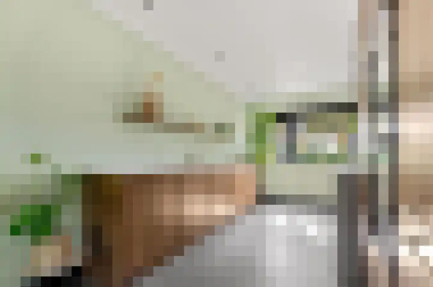 Veenlanden 151 Hoevelaken thumbnail 15