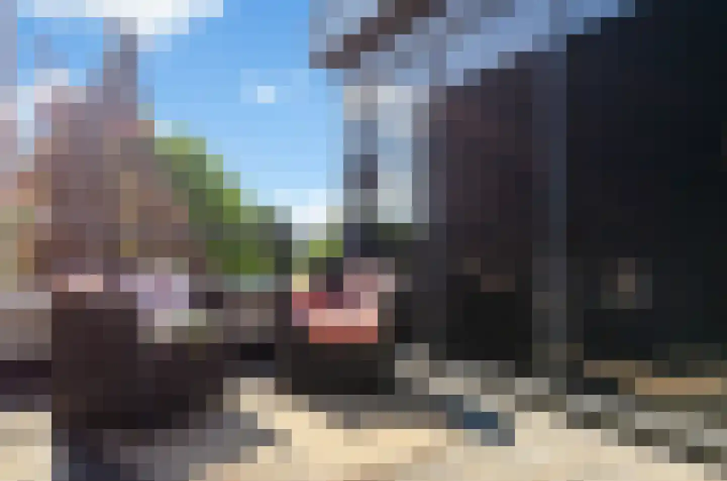 Veenlanden 151 Hoevelaken thumbnail 39