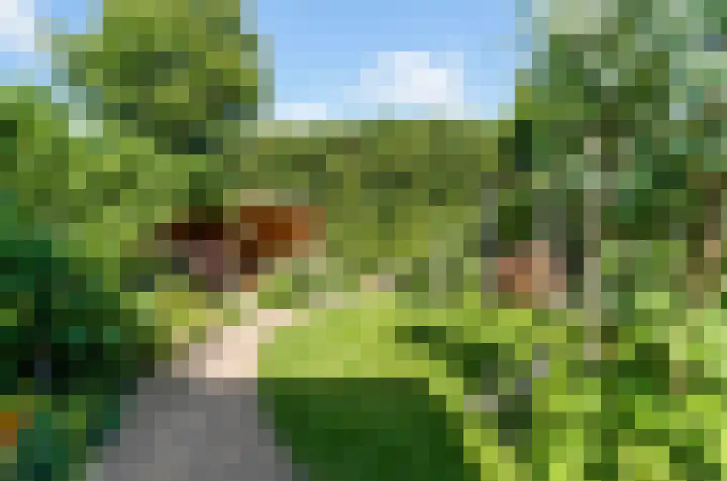 Veenlanden 151 Hoevelaken thumbnail 52