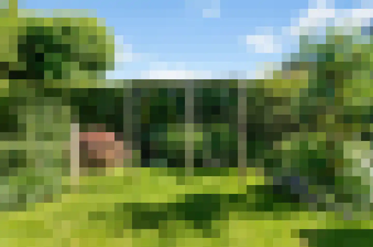 Veenlanden 151 Hoevelaken thumbnail 53