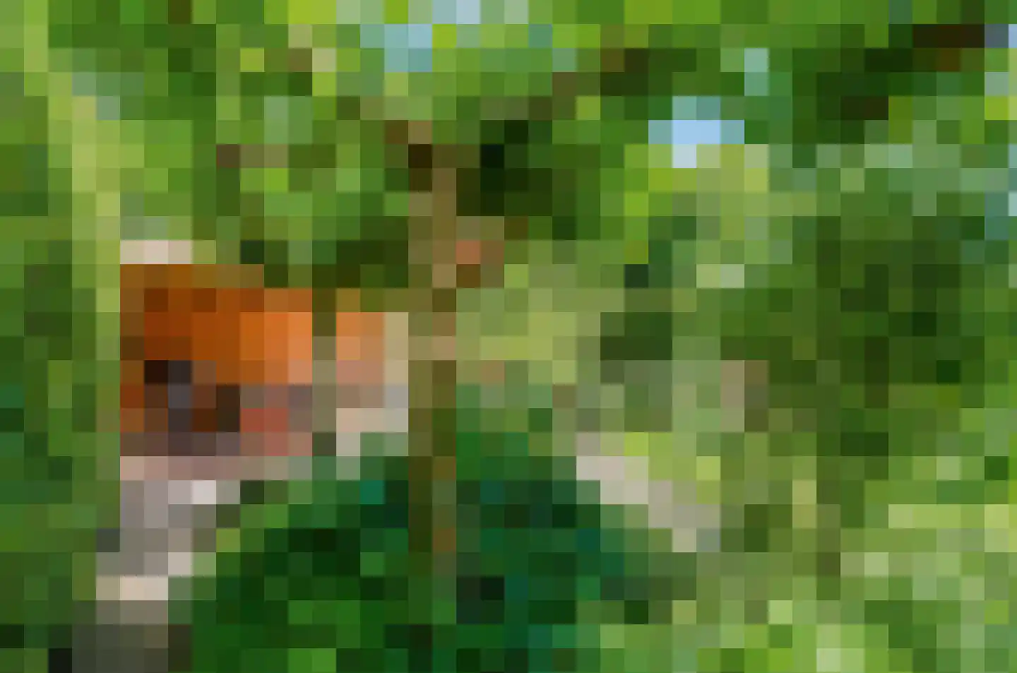 Veenlanden 151 Hoevelaken thumbnail 58