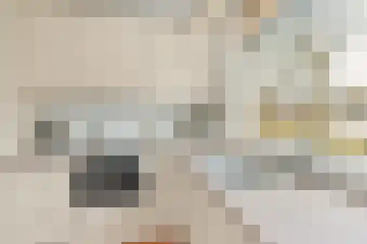 Veenlanden 20 Hoevelaken thumbnail 13