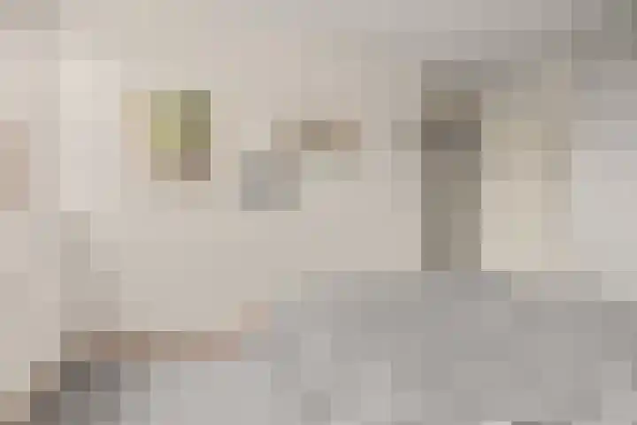 Veenlanden 20 Hoevelaken thumbnail 17