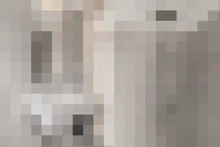 Veenlanden 20 Hoevelaken thumbnail 21