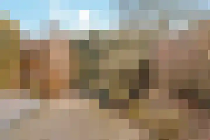 Veenlanden 20 Hoevelaken thumbnail 27