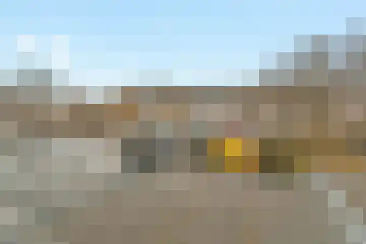 Veenlanden 20 Hoevelaken thumbnail 29