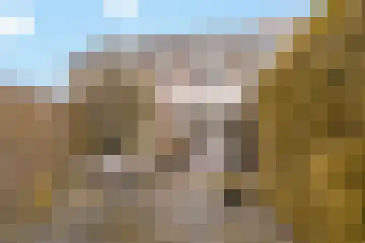 Veenlanden 20 Hoevelaken thumbnail 5