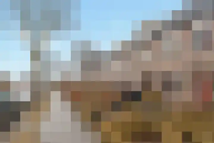 Veenlanden 20 Hoevelaken thumbnail 7